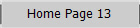 Home Page 13