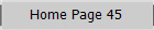 Home Page 45