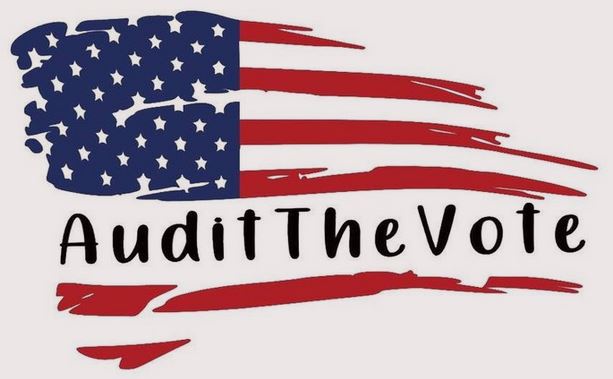 Audit The Vote